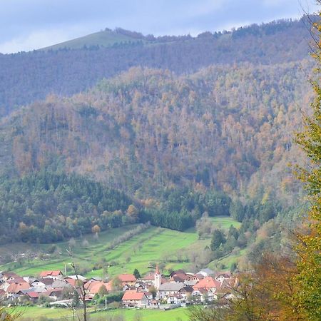 Villa Hisa Haasberg à Planina  Extérieur photo