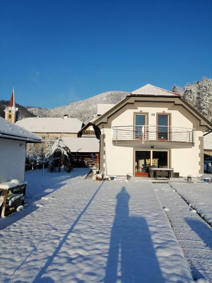 Villa Hisa Haasberg à Planina  Extérieur photo