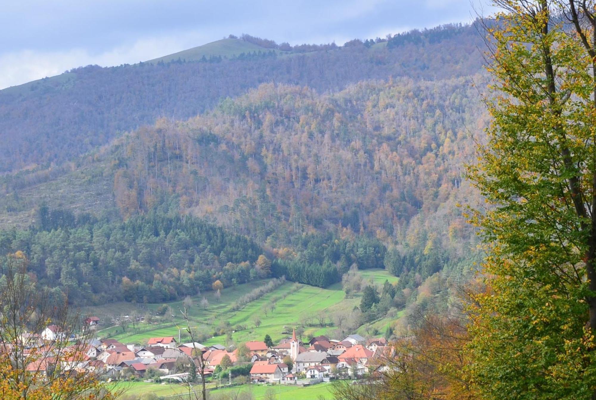 Villa Hisa Haasberg à Planina  Extérieur photo